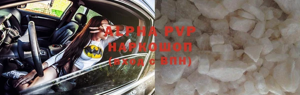 стафф Осташков