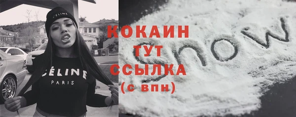 стафф Осташков