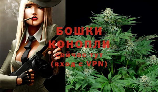 спайс Осинники