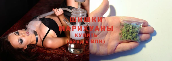 крисы Няндома