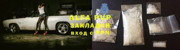 стафф Осташков