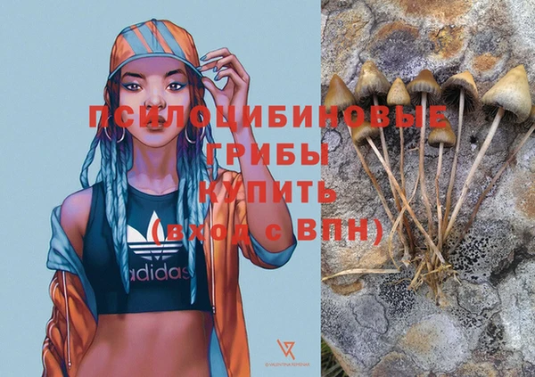 стафф Осташков