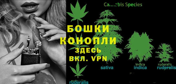 стафф Осташков
