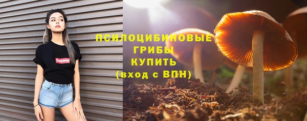 стафф Осташков