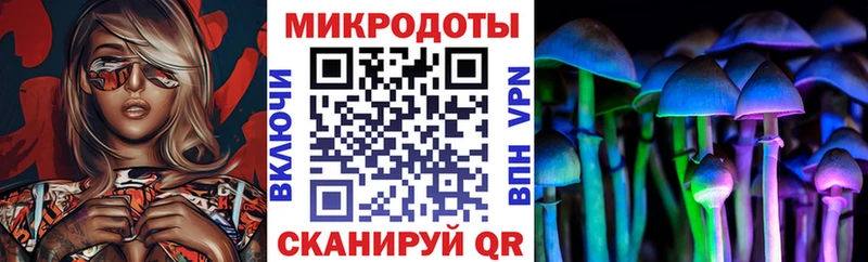 где найти   Краснотурьинск  Псилоцибиновые грибы Psilocybine cubensis 