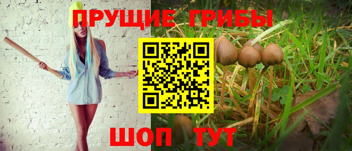 Краснотурьинск  как найти закладки  Галлюциногенные грибы мухоморы  Вход с VPN  Псилоцибиновые грибы прущие грибы 
