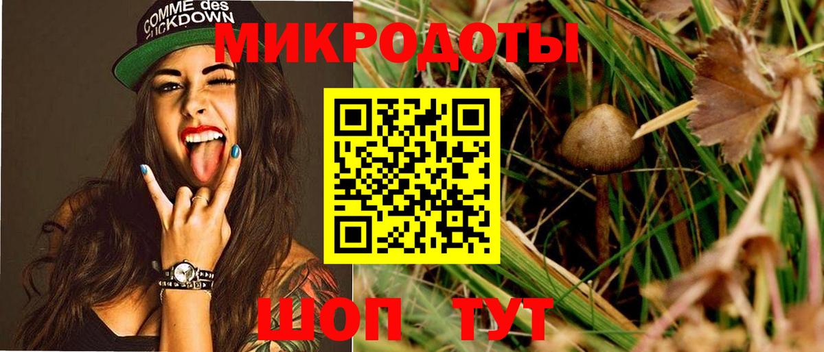 Псилоцибиновые грибы Cubensis Краснотурьинск