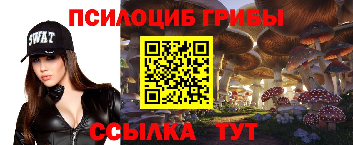 Псилоцибиновые грибы мухоморы  купить наркотики сайты  Краснотурьинск  Вход с VPN 